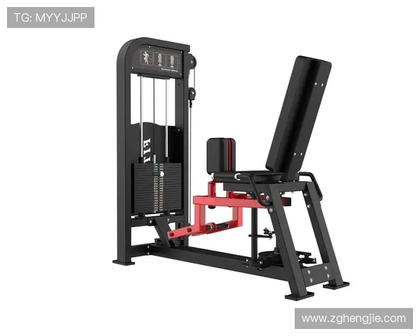 力量型健身器材专卖门店推荐与高强度训练设备测评