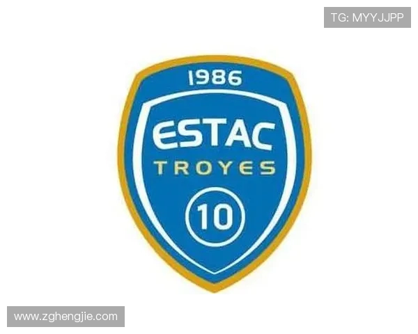 法甲球队管理评估及其对俱乐部运营效率的提升